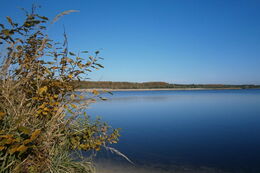 Foto Erikasee