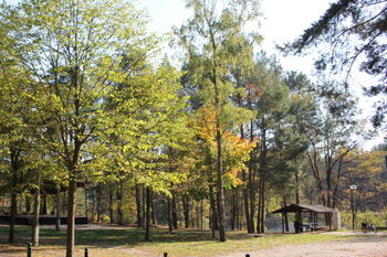 Impressionen vom Tornoer Teich Foto: Christine Primpke Foto Tornoer Teich